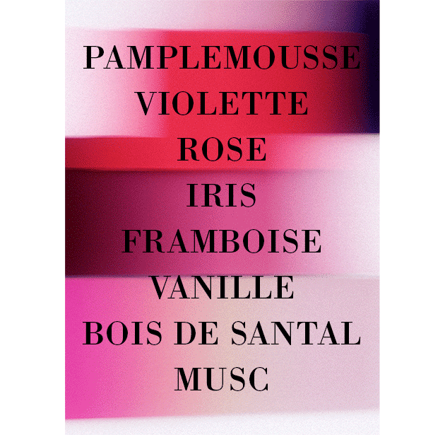 LIPSTICK ROSE