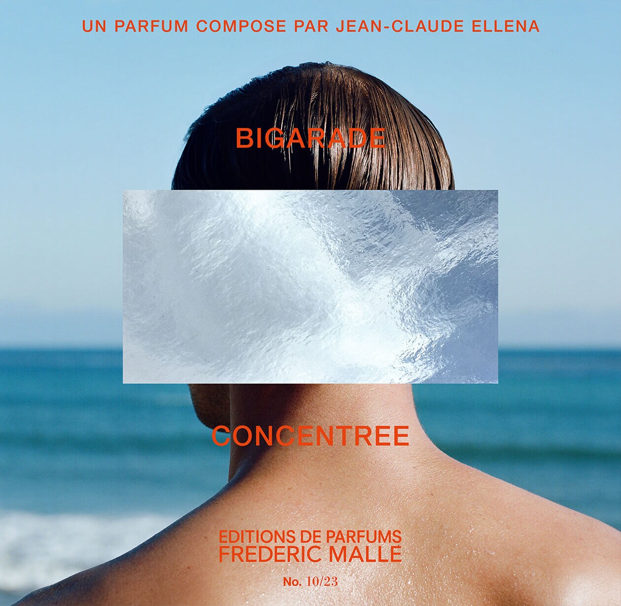 BIGARADE CONCENTREE